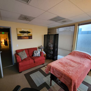 Reiki Dome Office Bellevue WA